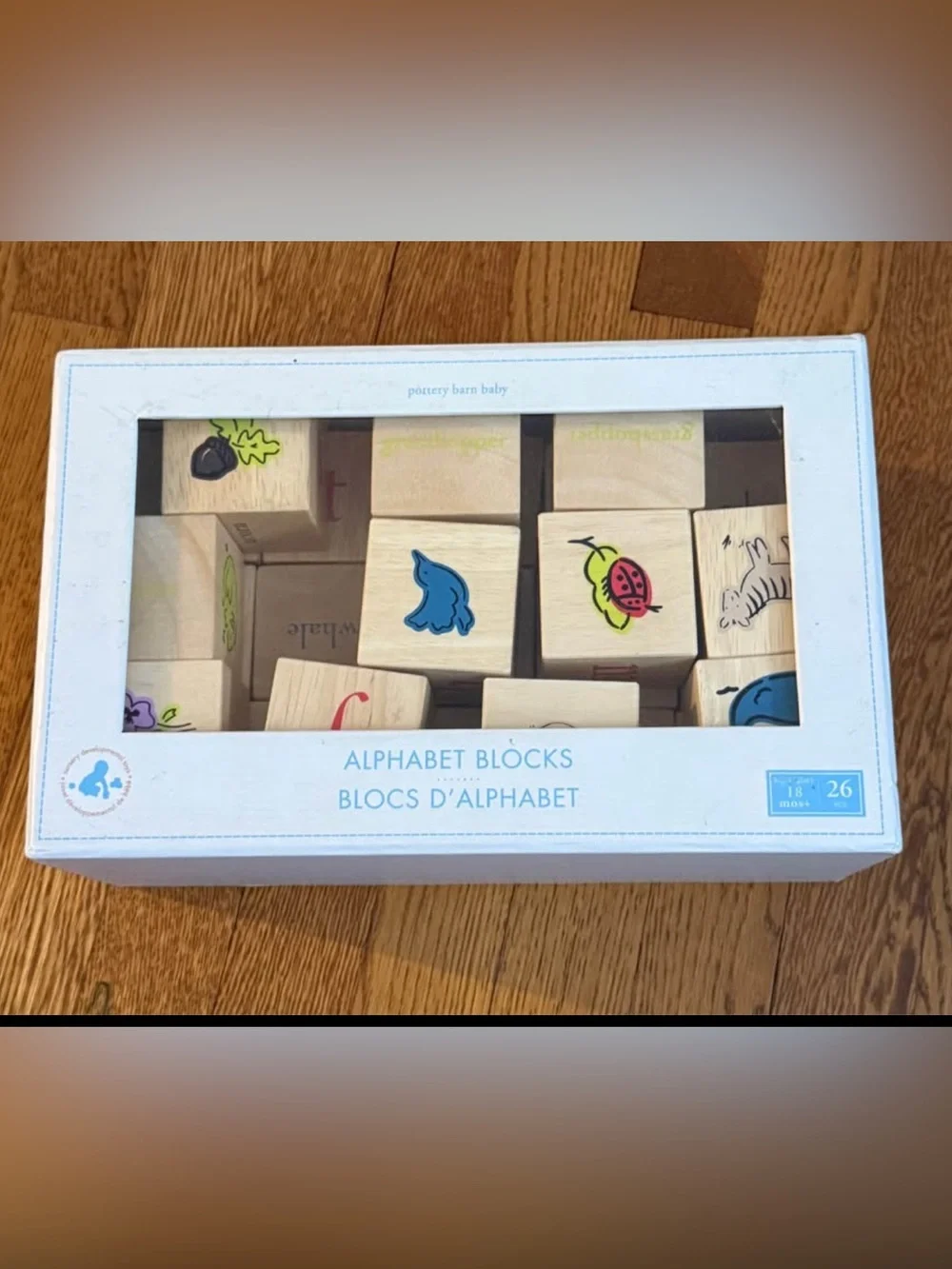 Pottery Barn Kids Alphabet Blocks